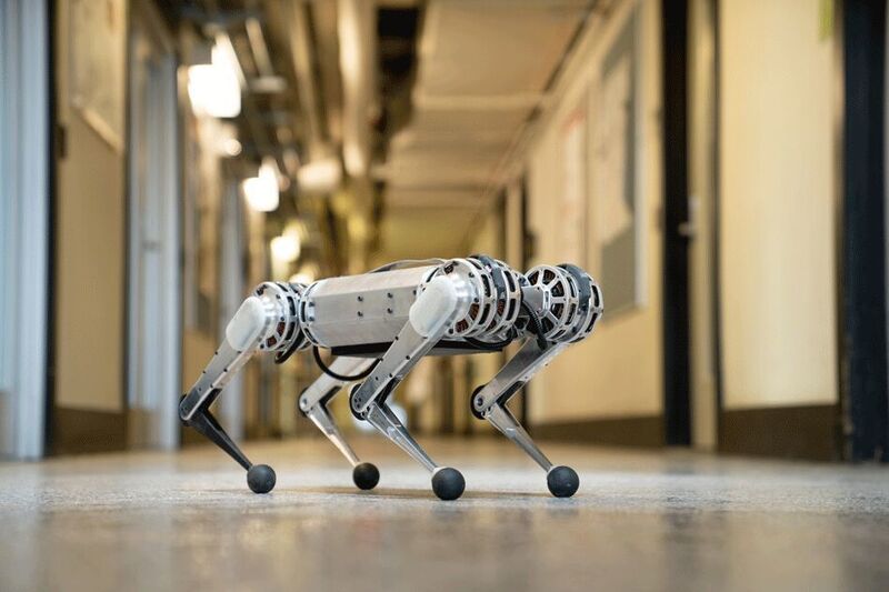 Der vierbeinige Roboter Cheetah kann aus dem Stand einen Rückwärtssalto schlagen.Diese „Begabung“ könnte nützlich für Rettungskräfte sein, ebenso wie für Soldaten, die nach versteckten Bedrohungen suchen. (MIT)