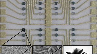 1	 Struktur der enzymatisch generierten Silbernanopartikel – die außergewöhnliche, Wüstenrosen-ähnliche Struktur der EGNP, begünstigt eine hohe Verstärkung des Raman-Signals. (Bilder: IPHT Jena) (Archiv: Vogel Business Media)