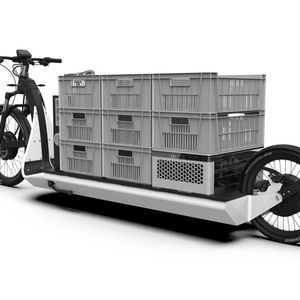 Rendering aus dem CAD-Modell des Lastenrads mit Beladung. Durch den tiefen Schwerpunkt bleibt das Lastenrad auch bei hohen Geschwindigkeiten stabil.(Bild:  EMB)