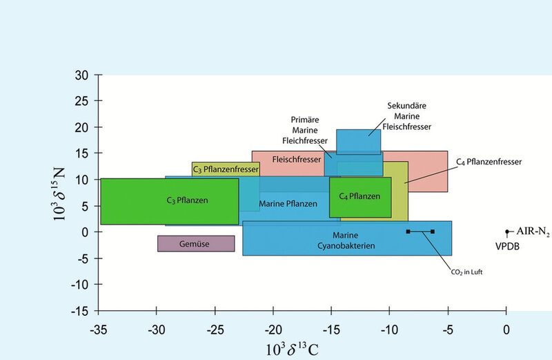 Abb. 1: Kohlenstoff- und Stickstoffisotopensignatur in Ökosystemen. (Bild: Universität Duisburg-Essen)
