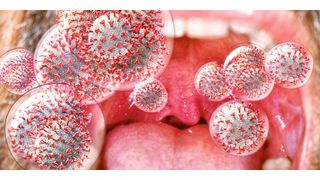 Die Viruslast bei Covid-19 und das damit verbundene Ansteckungspotenzial haben Forscher in einer aktuellen Studie untersucht. (Bild: www.ingo-bartussek.de, Stock Adobe)