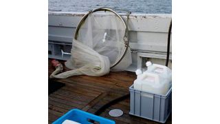 Sampling on the ship to study seawater from the North Sea. The seawater is filled into large canisters and cooled and brought back to the lab where the microcosm experiments are conducted. (Source: Saskia Rughöft)