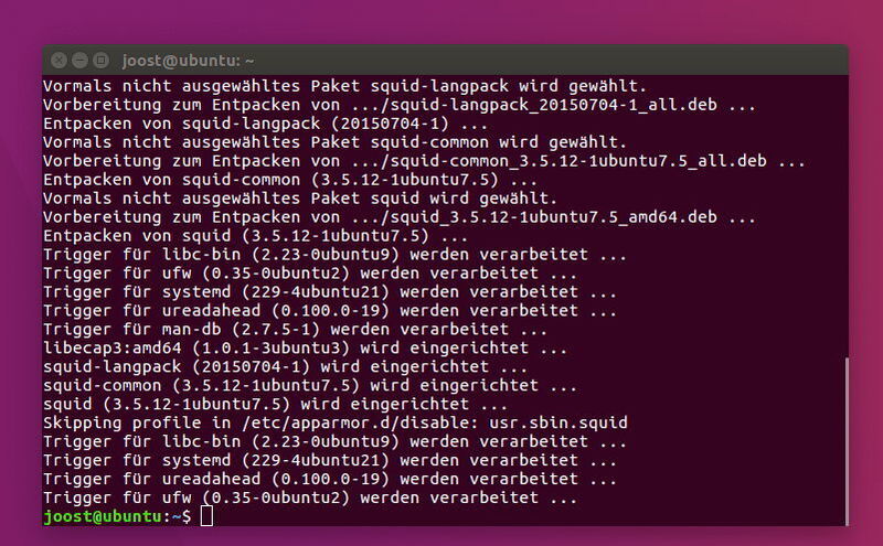 Squid kann auf Servern mit Debian, Ubuntu und anderen ähnlichen Distributionen recht einfach mit „apt-get install squid“ installiert werden. (Th. Joos)