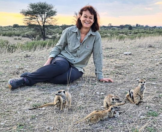 Prof. Simone Sommer, umgeben von wilden Erdmännchen(Bild:  Dr. Nadine Müller-Klein)