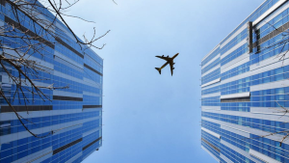 NTT10.06.22Header (VIT)