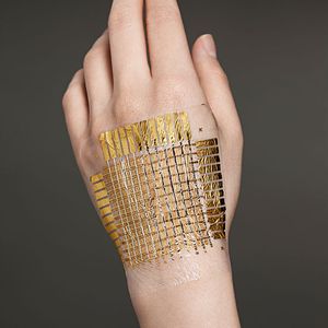 (Prof. Takao Someya / Universität Tokio)