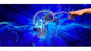 With neuroimaging, researchers observed that brain activity in the brain regions important for social perception is synchronized between different individuals when they watch movies depicting social situations. (Source: Pixabay)