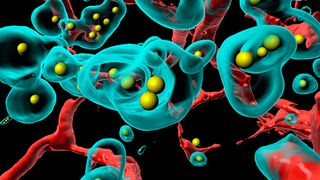 Ein Stück des Tumors wurde durchsichtig gemacht und in 3D durchsucht. Die mit fluoreszierenden Farben markierten Bestandteile wurden am Computer in eine 3D-Darstellung übertragen (rot: Blutgefässe, türkis: Tumorzellen, gelb: therapeutischer Antikörper). [Ausschnitt] (Bild: Copyright (c) 1993-2019, Bitplane AG / Plückthun Lab)