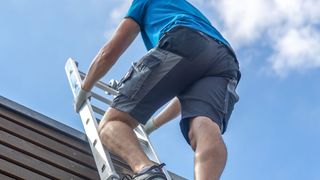 Das Steigtechniksystem Skymaster Plus X von Zarges garantiert sowohl innen als auch außen, wie hier, die Einhaltung der Richtlinie TRBS 2121-2. Es handelt sich um eine leichtgewichtige, dreiteilige Mehrfachleiter. Über sie – und andere Neulinge – handelt dieser Beitrag. (Bild: Zarges)