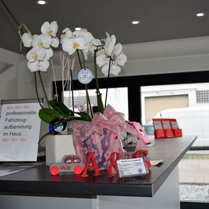 (Holz/»kfz-betrieb«)