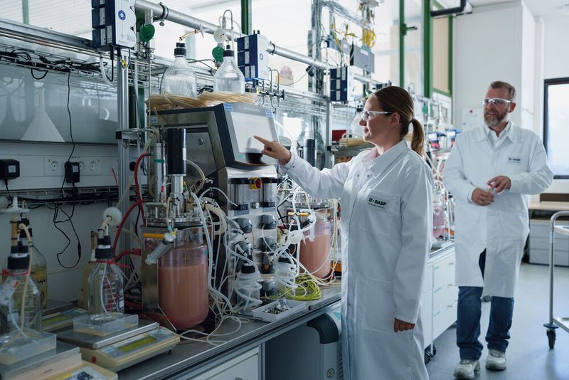 Mitarbeitende in den BASF-Laboratorien (Bild: BASF )