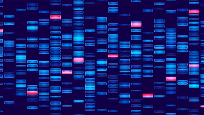 Die Daten im Gesundheitswesen allesamt auf einen Stand zu bringen ist eine Mammutaufgabe, der sich ein neu gegründetes Joint Venture stellen möchte.(Bild: ©  Igor - stock.adobe.com)