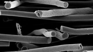 0110852436 (Bild: Universität Bayreuth)