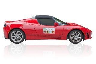 Fahrzeug Tesla Roadster, Reichweite 350 km, Leistung 225kW (306PS), Höchstgeschwindigkeit 200 km/h. (E-Wald)
