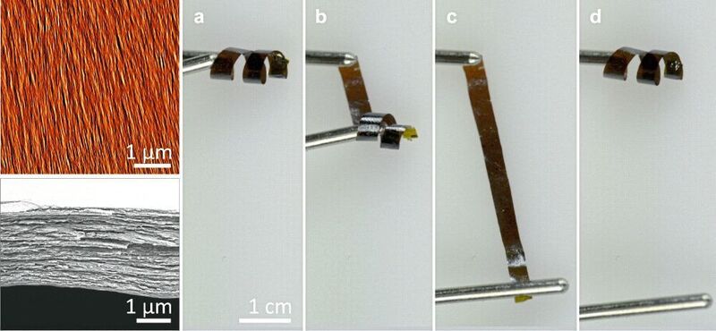Abb.6: Oberfläche (oben links) und Querschnitt (unten links) der Vanadiumpentoxid-Papiere, die eine außerordentliche Flexibilität aufweisen (rechts). (Scientific Reports 2017)