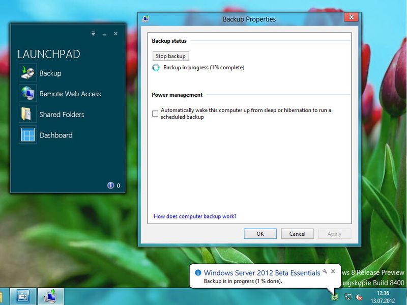 Nach der Installation des Agenten ist das Launchpad auf dem Desktop gestartet. Dieses bietet den Zugriff auf die Freigaben des Servers, sowie die Möglichkeit einer Datensicherung des kompletten PCs auf den Server. Administratorbenutzer können den Server sogar über das Dashboard verwalten, ohne sich mit dem Server zu verbinden. (Archiv: Vogel Business Media)
