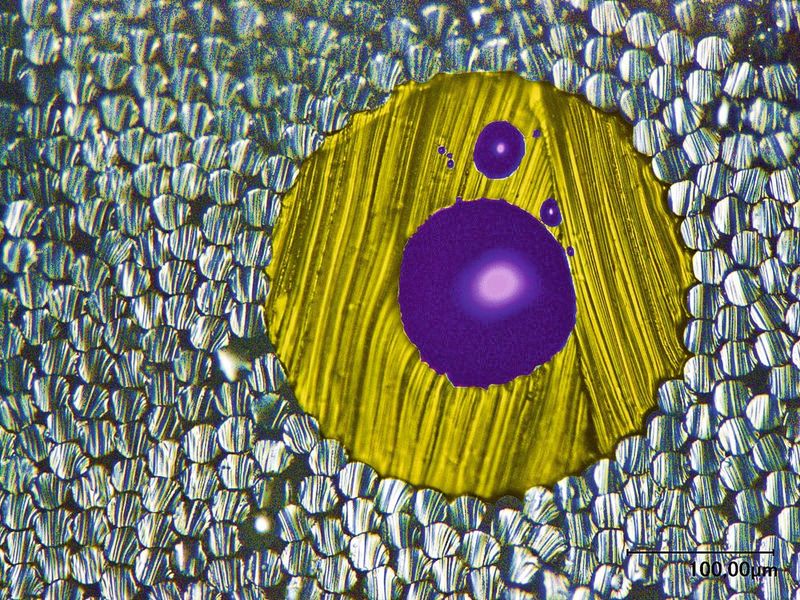 Mikroskopische Aufnahme einer Polymerfaser, die mit einem flüssigen Flammschutzmittel gefüllt ist, (nachkoloriert). (Bild: Empa)