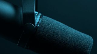 0101488862 (Bild: gemeinfrei // Pexels)