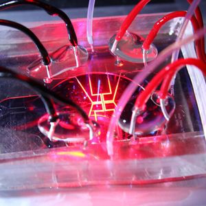 Mit welcher Frequenz Wassertröpfchen durch die Kanäle eines Mikrofluidik-Chips fließen, können Göttinger Max-Planck-Forscher präzise steuern. Der Chip ist ein etwa neun Quadratzentimeter großer, durchsichtiger Kunststoffblock, durch den dünne Röhrchen verlaufen. Durch die vier transparenten Schläuche wird Öl und Wasser in die Röhrchen gedrückt. Um die Bewegungen der Tröpfchen zu kontrollieren, legten die Forscher ein elektrisches Feld an den Chip an. Die Elektroden sind als gelbe Linien zu sehen, die roten und schwarzen Kabel sind die Stromleitungen. Die Frequenz der Tröpfchen wandelten die Forscher in Töne um.