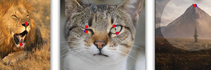 Mit der Drag Gan Methode können komplexe Bildbearbeitungen durchgeführt werden. Die KI generiert dabei eine Vorhersage für ein neues Bild, die wiederum von einem anderen Modell kontrolliert wird. (Bild:  MPI-INF)