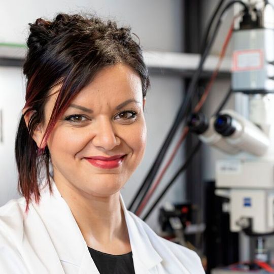 Prof. Francesca Santoro hat mit einem internationalen Team einen Biochip entwickelt, der aus leitenden Polymeren und lichtempfindlichen Molekülen besteht.(Bild:  Forschungszentrum Jülich/Ralf-Uwe Limbach)