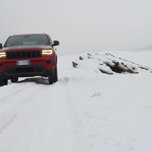 (Rehberg / »kfz-betrieb«)