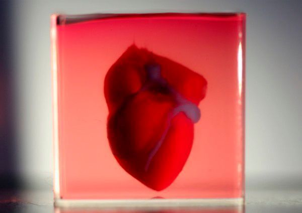 3D-gedrucktes Herz // Gewinner: 