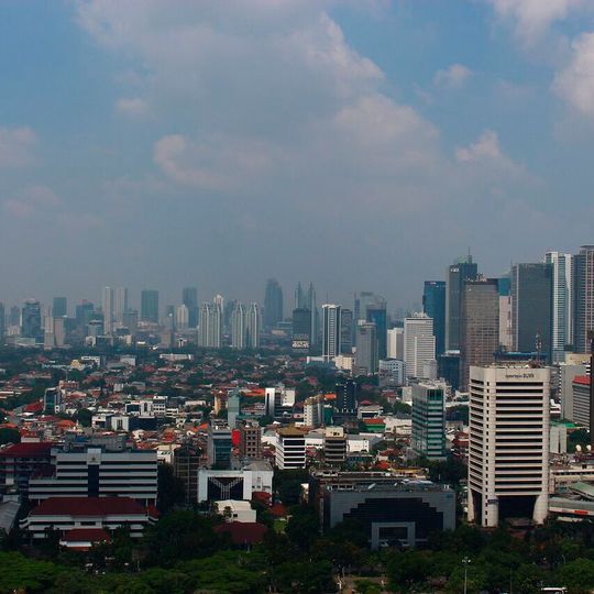 A study suggests that air pollution exposure, both during pregnancy and early childhood, can have lasting effects on the brain’s white matter. (Source:  free licensed /  Pixabay)