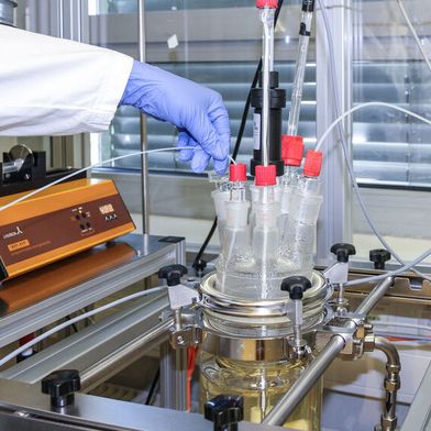Im 1-Liter-Reaktor können in einem Ansatz 100 Gramm modifizierte Gelatine reproduzierbar und mit absolut konsistenter Qualität hergestellt werden. (Bild: Fraunhofer IGB)