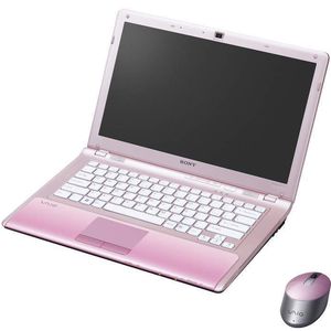 Die farblich passende Vaio-Bluetooth-Laser-Maus kostet 69 Euro.