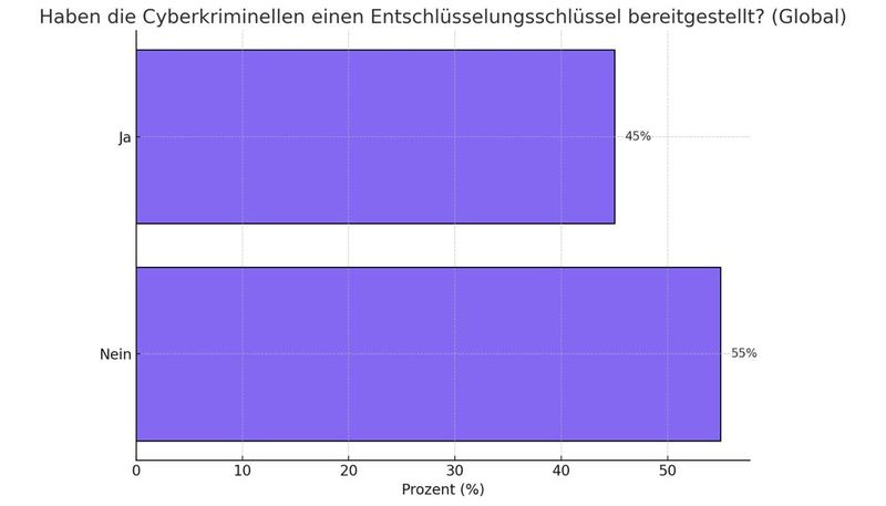 Bereitstellugn eines Entschlüsselungsschlüssels (Bild: Dall-E / KI-generiert)