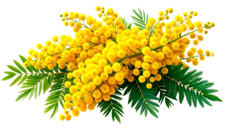 KI-Modelle sind Mimosen, wenn sie mit Änderungen im Datenbankschema in Berührung kommen. (Bild: ©  Desmon - stock.adobe.com / KI-generiert)