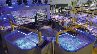 In the Sea-Sim, the parameters must be kept constant to ensure the scientific integrity of the experiment. (Image:Weidmüller)