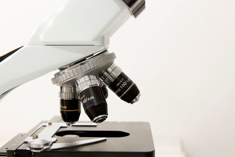 Eine KI soll Fachleute dabei unterstützen, mikroskopische Aufnahmen zu analysieren. (gemeinfrei)