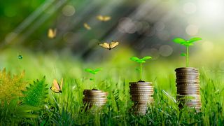 Ein Unternehmen, das es ernst nimmt mit der Nachhaltigkeit - auch mit der Nachhaltigkeit der IT -, muss eine Strategie haben und Geld in die Hand nehmen.  (Bild: frei lizenziert: Orlandow)