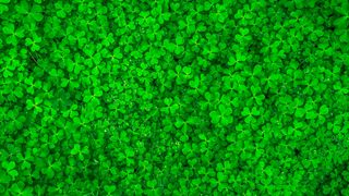 Die Art und Weise wie Software geschrieben und auf Daten zugegriffen wird, hat eine große Hebelwirkung, wenn es um die Nachhaltigkeit von IT geht.  (Bild: gemeinfrei: Jeon Sang-O )