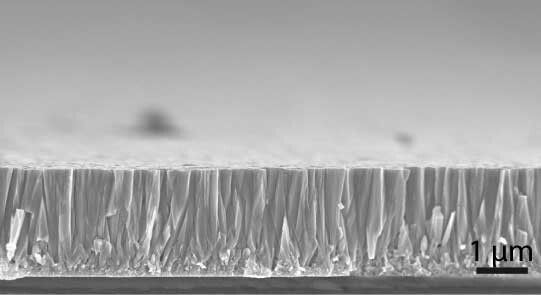 Mikroskop-Aufnahme der Solarzellenschicht. (Bild: Empa)