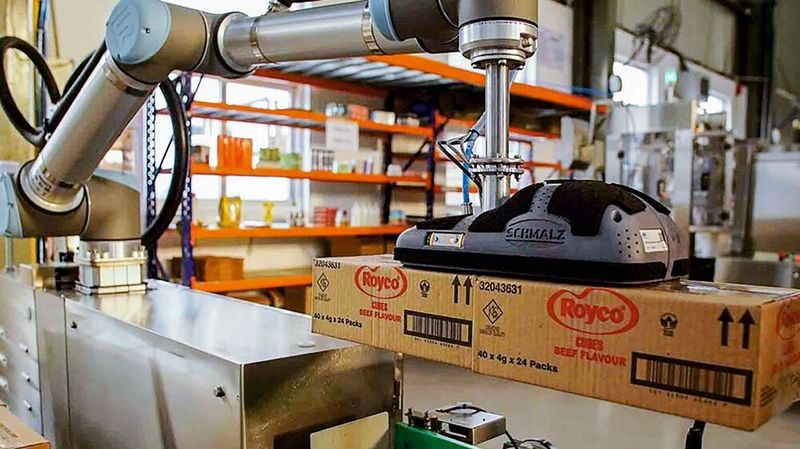 Der Flächengreifer des auto­matischen Palettier­systems von Clearpack nimmt die Kartons von der Fördertechnik und stapelt sie auf Paletten. (Universal Robots)