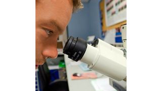 In einem statistischen Überblick beleuchtet der VCI die Innovationskraft der chemisch-pharmazeutischen Industrie in Deutschland. (gemeinfrei)