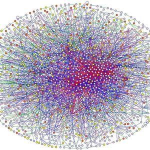 Eine Art Schaltplan des Lebens ist das Netzwerk der Protein-Protein-Wechselwirkungen, das ein Team um Prof. Dr. Erich Wanker vom Max-Delbrück-Centrum ermittelt hat. Diese „Interaktomkarte“ dokumentiert, wie sich die körpereigenen Proteine gegenseitig beeinflussen und den Organismus am Laufen halten. Mit der so ermittelten Interaktomkarte werden 195 krankheitsrelevante Proteine mit vormals unbekannten Partnern in Verbindung gebracht und 342 bisher nicht charakterisierte Proteine bekannten Signalwegen zugeordnet. „Wir haben allerdings erst einen Bruchteil der Wechselwirkungen erfasst“, sagt Prof. Dr. Erich Wanker. „Unsere Arbeit könnte der Ausgangspunkt für ein internationales Human-Interaktom-Projekt werden, das ähnlich wie das Human-Genom-Projekt, sämtliche Proteinkomplexe im menschlichen Organismus nachzeichnet.“ Das Team aus Molekularbiologen, Ingenieuren und Informatikern erhielt Ende 2008 den Schrödinger-Preis, der mit 50000 Euro dotiert ist und abwechselnd von der Helmholtz-Gemeinschaft und dem Stifterverband vergeben wird. 