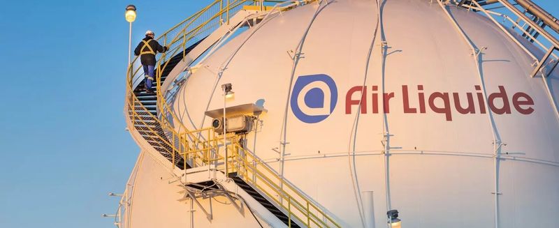 Platz 7: BASF SE – 23,5 Mrd. €  Branche:  	Industriegase Sitz: Paris/Frankreich Gründungsjahr: 1902 Beschäftigte: ca. 66 Tsd.   (Air Liquide)