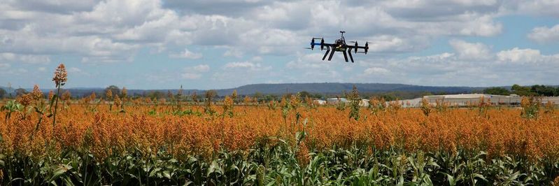 Rund zehn Prozent der Landwirte nutzen inzwischen Drohnen.(Bild:  gemeinfrei /  Pixabay)