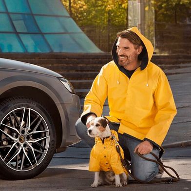 Ist der Reifen rund, freut sich der Hund (oder so). Herrchen hat mit dem Conti Allseaon-Contact 2 jedenfalls laut ADAC die richtige Wahl getroffen. (Bild: Continental)