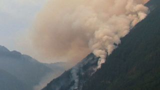 Abb. 1: Polyzyklische aromatische Kohlenwasserstoffe (PAK) entstehen in großen Mengen bei unvollständiger Verbrennung aus praktisch allen  organischen Stoffen, z. B. bei Waldbränden. (Ausschnitt) (© William Messing/Fotolia.com)