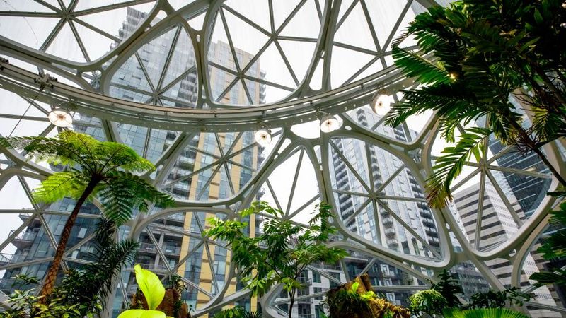 Innenansicht der „Spheres“ am Amazon-Hauptsitz in Seattle: Der Konzern schafft sich tropische Bürowelten und wächst weiter in den Himmel, während Kommunen wie Schöneck auf den Verkauf von Flächen an AWS setzen, um ihre Haushalte zu entlasten.(Bild:  Amazon)