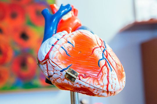 Die Befragung in Form von Experteninterviews und Fokusgruppendiskussionen wurde im Rahmen einer universitären Abschlussarbeit durchgeführt(© RHÖN-KLINIKUM AG / Sylvia Willax)