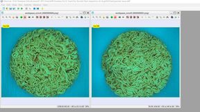 Bildverarbeitungssysteme sind in der Lage, Fehler in Instantnudeln innerhalb von Millisekunden zu erkennen. (Bild: Teledyne Dalsa)