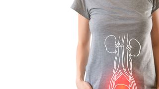 Harnwegsinfektionen (HWIs) zählen zu den häufigsten Gesundheitsproblemen weltweit und betreffen jedes Jahr Millionen von Menschen. Sie sind nicht nur schmerzhaft, sondern stellen auch eine besondere Herausforderung dar, da sie häufig wiederkehren. (Symbolbild) (Bild: mi_viri - stock.adobe.com)