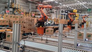 Mit 19 Kameras können Knorr-Lebensmittel in kleinen Kartons identifiziert, in 17 Linien sortiert und von drei Robotern für den Transport auf einzelnen Paletten vorbereitet werden. (Bild: Kibele-PIMS)