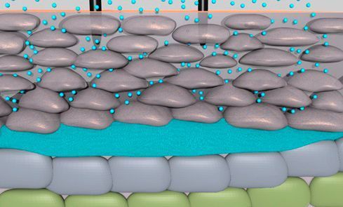 Der Wasserdampf sammelt sich an der Lederhaut und kondensiert zu heißem Wasser. (Empa)